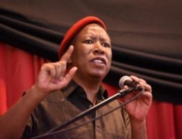 Julius Malema Biography: Age, Wife, Net Worth, Speech & News