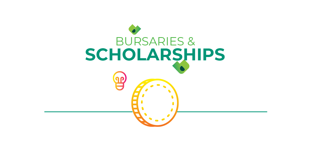 The Disadvantages of Bursaries and Scholarships