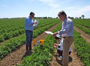 Agricultural Business in South Africa