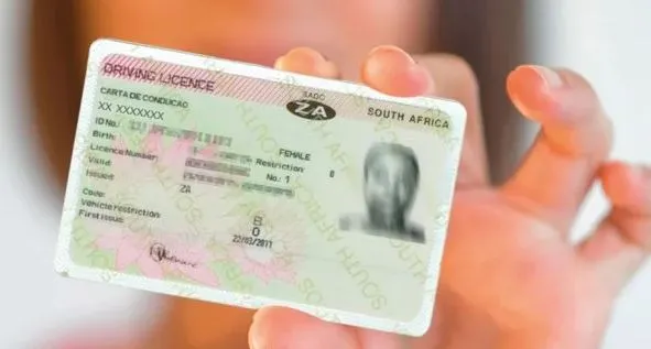 How to Renew PDP License in South Africa