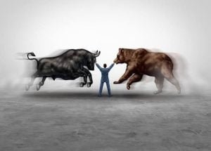 bulls vs bears
