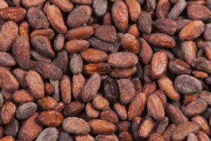 Price of Cocoa Beans in South Africa